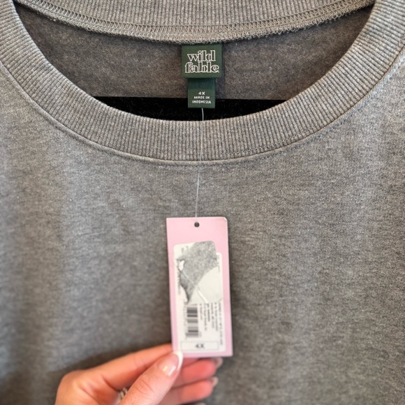 Wild Fable NWT Womens Plus Size Cropped Raw Hem Grey Crewneck Sweatshirt Size 4X - Picture 4 of 7